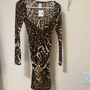 Zara Leopard Print Long Sleeve Dress